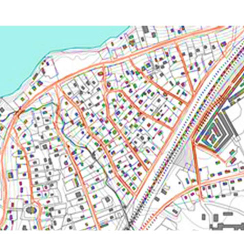 City Map Surveys
